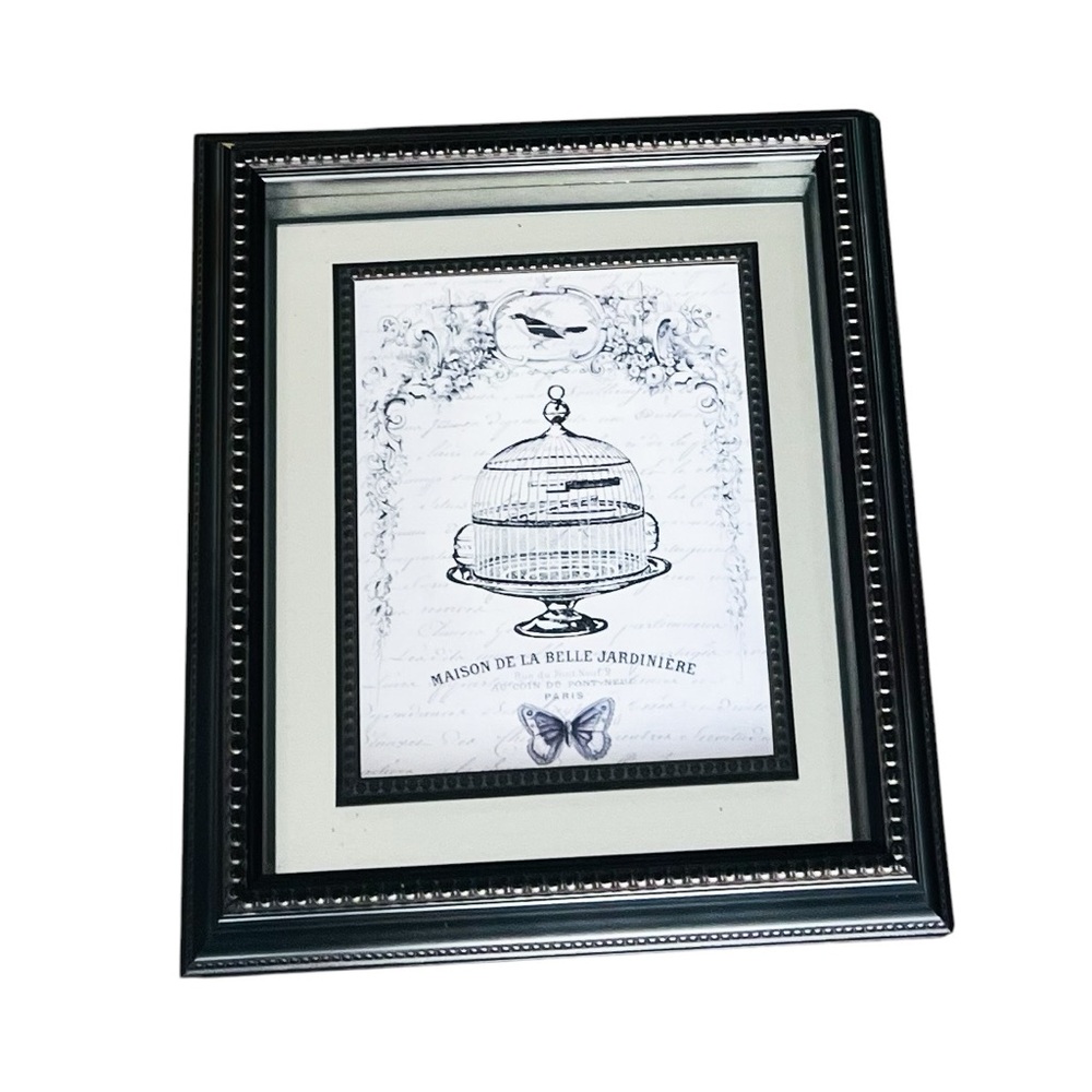 French Birdcage Mason De La Belle Butterfly Bird Paris Mirror Decorative Frame